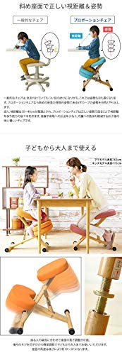 Amazon.co.jp: 宮武製作所: プロポーションチェア